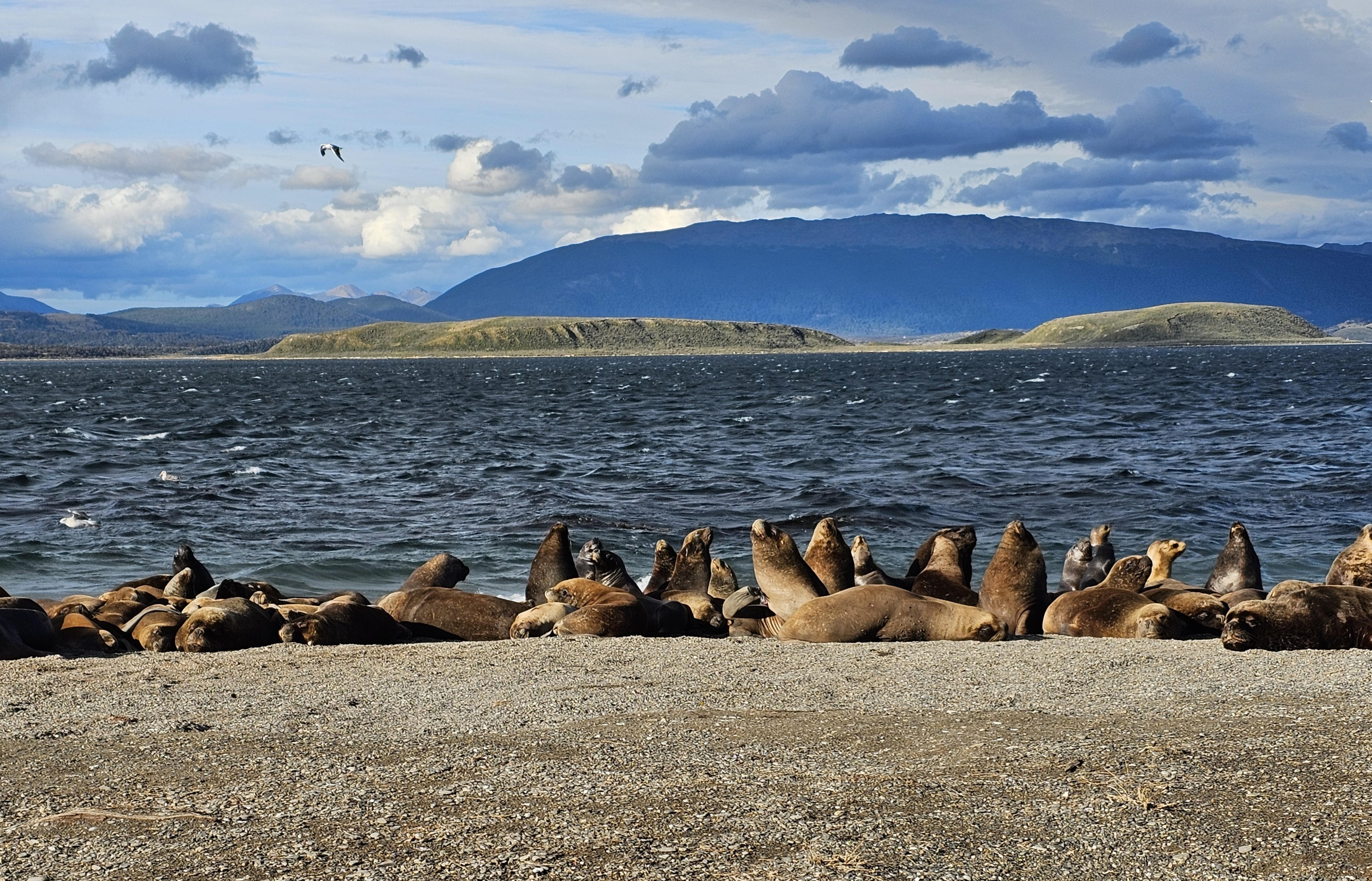 Chile